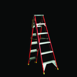 RBLFDP170-330 Dual Purpose Ladder