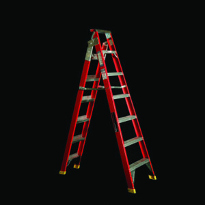 RBLFDP200-390 Dual Purpose Ladder
